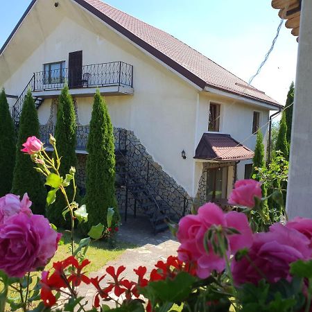 Apartamento Casa Carpati Zărneşti Exterior foto
